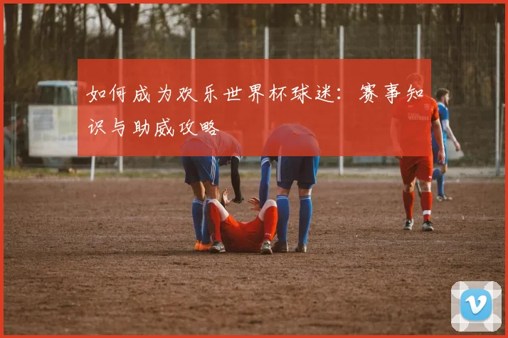 如何成为欢乐世界杯球迷：赛事知识与助威攻略