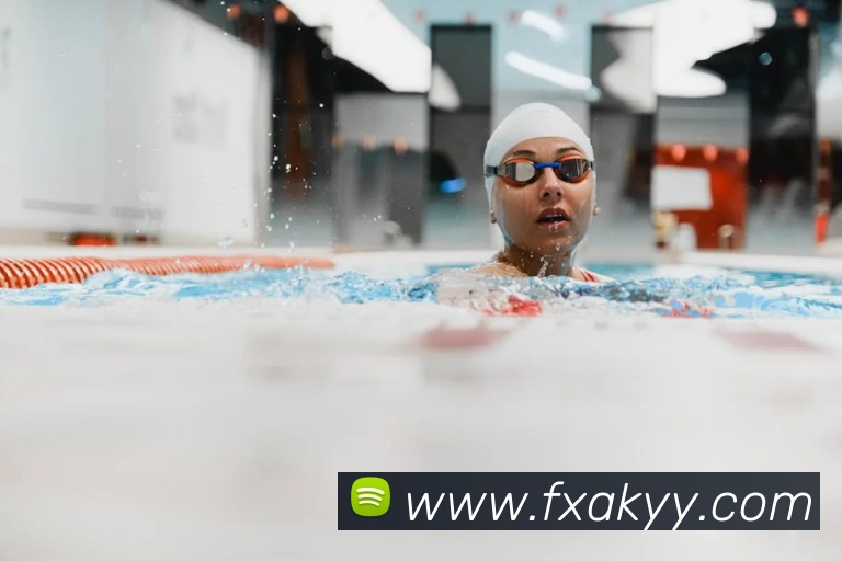 大阳城43335.cm登录地址发展历程